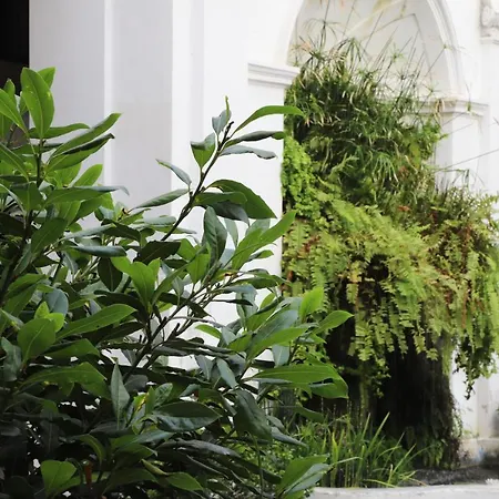 Ave Gratia Plena-3