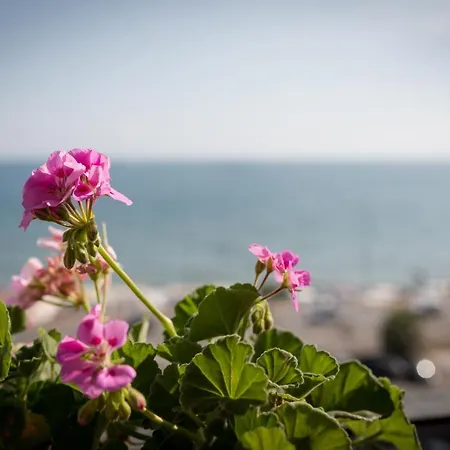 Salsedine Sea View-3